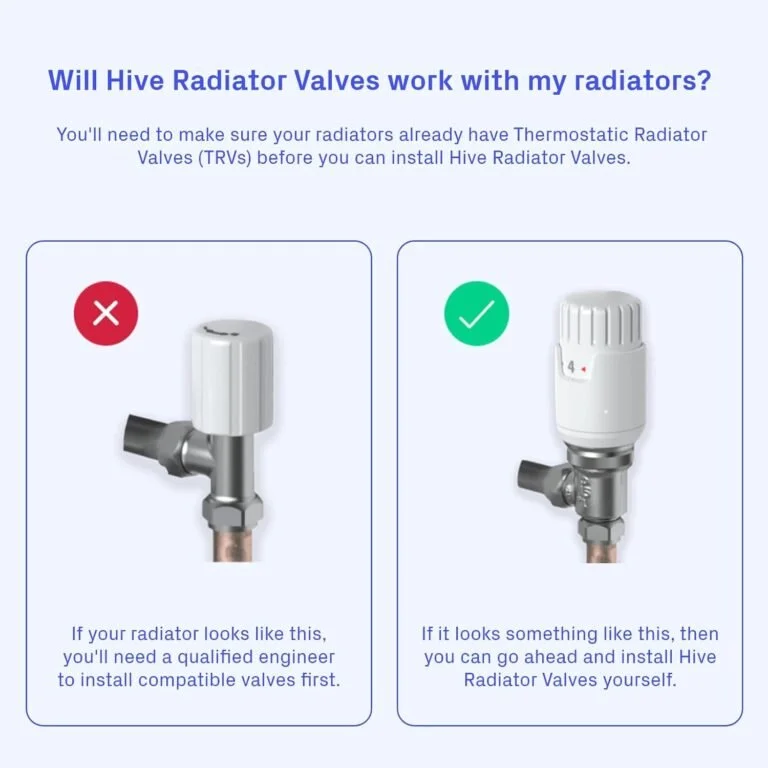Thermostatic radiator valve fitted to a radiator